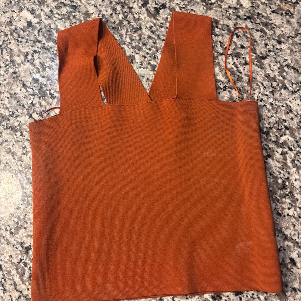 House of Harlow 1960 Terracotta Crop Top